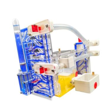 Imagem de MERIGLARE Fazenda de formigas 3D DIY, visualização de formigas para crianças e adultos, estudantes, observação com área de alimentação, kit de ciências para