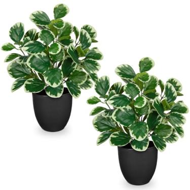 Imagem de Conjuntos de 2 plantas artificiais para decoração de casa, vasos de seda falsos de 36,8 cm para prateleiras, decoração de sala de estar, planta de mesa de escritório artificial pequena em vasos