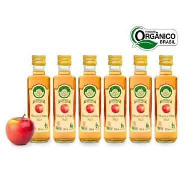 Imagem de Kit 6 vinagre de maçã orgânico acidez 6% são francisco 250 ml