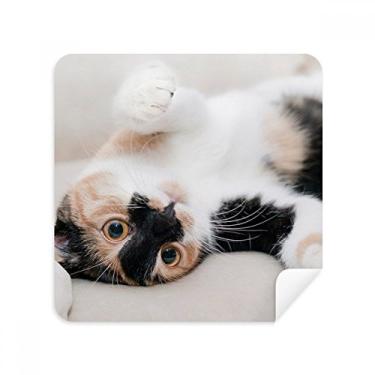 Imagem de Gatinho listrado relaxamento sono animal óculos pano limpador de tela tecido camurça pacote com 2