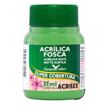 Imagem de Tinta Acrílica Fosca - Nature Colors Acrilex 37 ml Verde Folha - 510