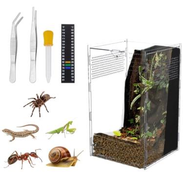 Imagem de DELORIGIN Gabinete de aranha saltadora acrílico ventilado inseto terrário réptil gabinete habitat acessórios para saltar aranha tarântula louva-a-deus caracol lagarto caranguejo eremita (15 x 15 x 25