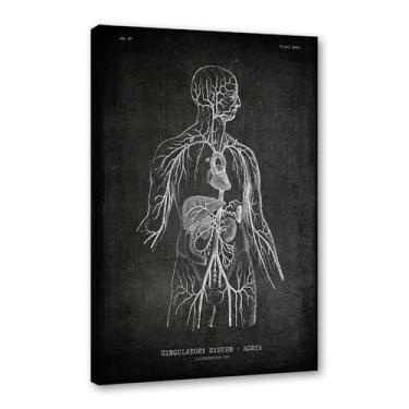 Imagem de Arte vintage de anatomia humana – pintura em tela de educação médica esqueleto humano gaiola cérebro coração anatomia pôster para decoração de casa de clínica hospitalar (SKU4,20.3x30.5 cm = (20x30 cm