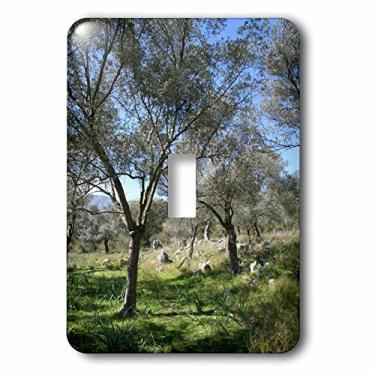 Imagem de 3dRose lsp_167517_1 Capa para interruptor leve Oleaceae com verde de oliva turco, azeite de oliva europeia, árvore pequena na família