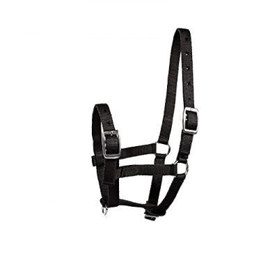 Imagem de Horze Spirit Foal Halter