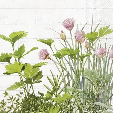 Imagem de Guardanapo para Decoupage Ihr 33x33 Plantas Naturais C/ 2 Unidades - G