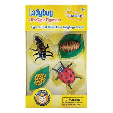 Imagem de Insect Lore Ladybug Life Cycle - 4 PC Insect Figure Shows Life Of Lady Bug