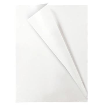 Imagem de Pasta L Plástica Transparente A4 para Organização de Documentos 10 Unidades, ideal para escritório, escola e uso diário, resistente, leve e fácil de armazenar