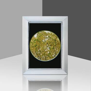 Imagem de Porta-retrato de 15 x 20,3 cm, para exibição, várias molduras de fotos, colagem para parede ou mesa (prata)