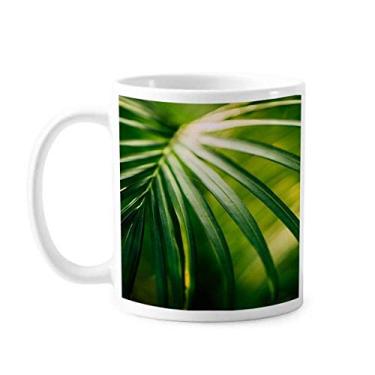 Imagem de Sunshine Leaf Plant Nature Photography Caneca Cerâmica Café Porcelana Utensílios de Mesa