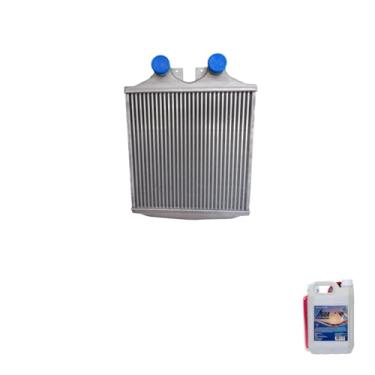Imagem de Kit Radiador Ar Intercooler MB1620/1622/1723 Aditivo Radiador Radiex Rosa Água Desmineralizada 5L