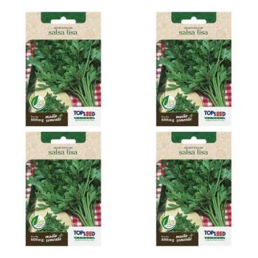 Imagem de Kit 4 Sementes Salsa Lisa Salada Alta Germinação Hortas Vasos - Topsee