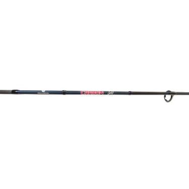 Imagem de Vara De Pesca P/ Molinete Carbon Gii 12M 2Prts Pesca Brasil