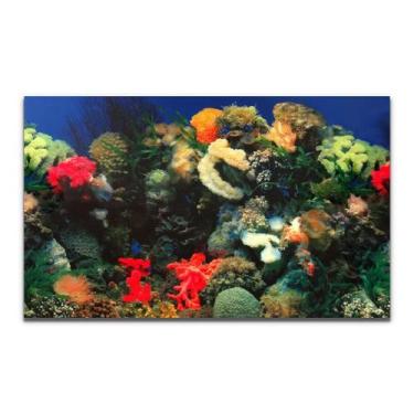 Imagem de Painel Aquários Fundo Azul E Plantas 50Cm X 200Cm Pp-088 - Chang