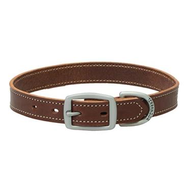 Imagem de Terrain D.O.G. Coleira de couro para cachorro Bridle, marrom, 2,54 cm x 63,54 cm