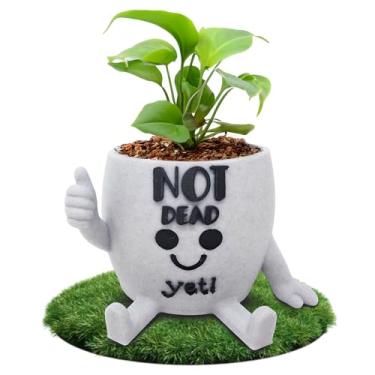 Imagem de Engraçado rosto vaso de cabeça interior, vaso de flores suculentas pequeno exclusivo, plantador de cacto fofo, decoração de casa interna, vaso de plantas de mesa de escritório, conjunto de presente de