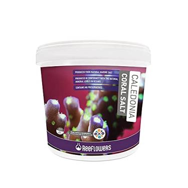 Imagem de Reeflowers Sal Marinho P/aquário Caledonia Coral Salt 25kg