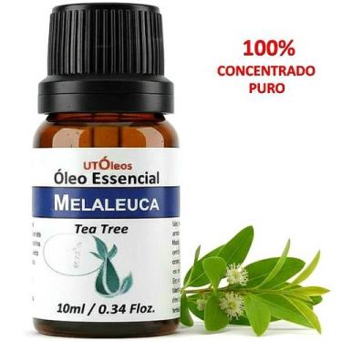 Imagem de Óleo Essencial de Melaleuca (Tea Tree) - 100% Puro - Frasco vidro com 