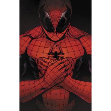 Imagem de O Espetacular Homem-Aranha (2025) 05