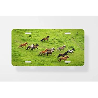 Imagem de Capa de placa de carro Herd of Wild Pony Horses correndo em um prado rural - Capa de placa de carro nova para carro - Capa de moldura da placa de carro 15 x 30 cm