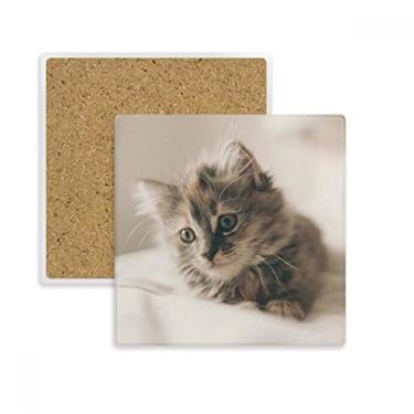 Imagem de Animal gatinho cinza fotografia de gato quadrado porta-copos tapete para caneca subplaca suporte isolante pedra