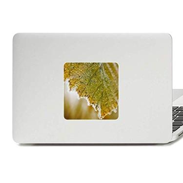 Imagem de Adesivo de vinil para laptop com imagem de planta de folha macia decoração de policarbonato