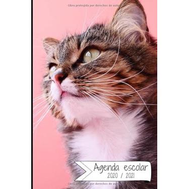 Imagem de AGENDA ESCOLAR 2020-2021: Agenda semana vista (Septiembre 2020 / Agosto 2021) | Planificador semanal (Español) | Calendario | Colegio, secundaria, estudiante | Tapa blanda Gato