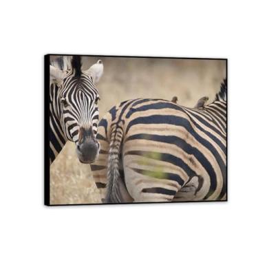 Imagem de Imagens de animais preto e branco para decoração de parede pássaro nas costas de zebra imagem de animal vintage impressão de imagem de cavalo em tela pintura de parede zebra decoração de parede para
