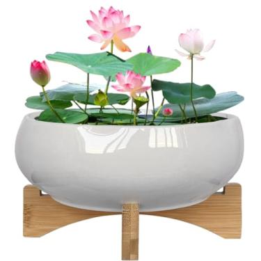 Imagem de MUZHI Vaso de lótus de água minimalista bonsai de cerâmica com suporte de bambu 19,8 cm, borda curvilínea redonda hidropônica rasa vitrificada vaso de flores de lírio de água sem furo branco
