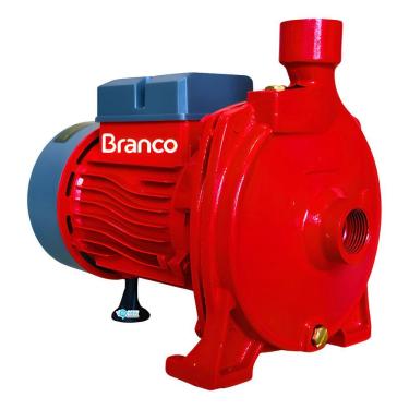 Imagem de Motobomba Centrifuga 1/2cv Bivolt C/ Chave Seletora Branco