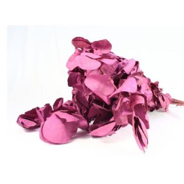 Imagem de Eucalipto Pink Desidratado p/ Decoração - Pense Flores