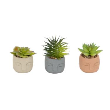 Imagem de VASO PLANTA SUCULENTA ARTIF ROSTO C HOME