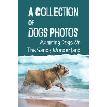 Imagem de A Collection Of Dogs Photos: Admiring Dogs On The Sandy Wonderland: Cute Dog Pictures