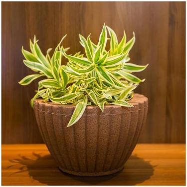 Imagem de VASOS POLIETILENO BACIA GREGA DECORATIVO P/PLANTAS/JARDINS/ESCRITÓRIOS LUXO (MARROM)