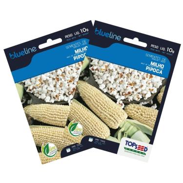 Imagem de TOPSEED, 2X Sementes de Milho de Pipoca Blueline TOPSEED