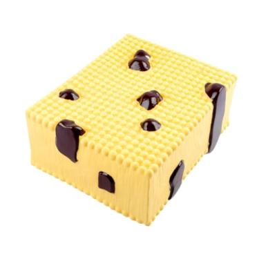 Imagem de YIJU Dispositivo de Biologia Da Estrutura Da Membrana Celular para Sala de Aula Escolar em Sala de Aula