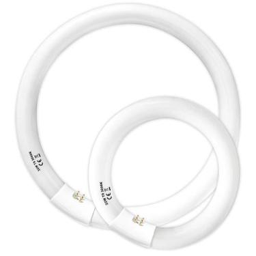 Imagem de Lâmpadas fluorescentes Konideke FC12T9/WW 32W e FC8T9/KB 22W