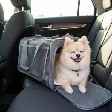 Imagem de Bolsa Transporte Gatos Cães Pet Viagem Avião com Almofada Cor Cinza - 