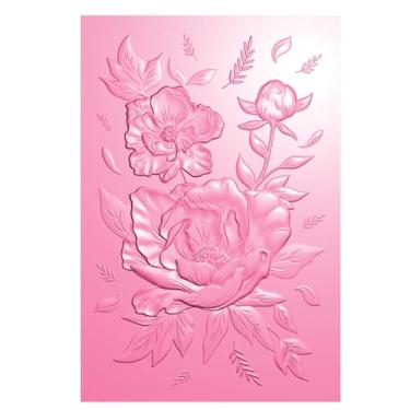 Imagem de Briartw Pasta de gravação em relevo 3D para fazer cartões, textura de plástico transparente, modelo de pasta de gravação para álbum de recortes e outros carimbos de álbum de artesanato em papel,