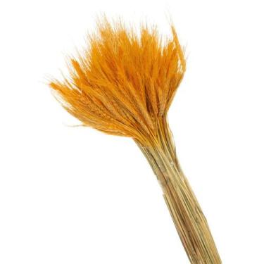 Imagem de Buque de Flores Secas Trigo Rosa bebe - Pense Flores, laranja