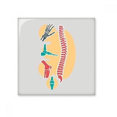Imagem de Adesivo brilhante de azulejo de cerâmica com estrutura de esqueleto espinhal