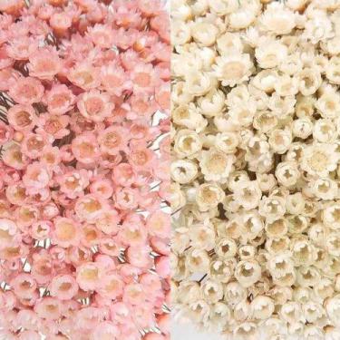 Imagem de 2 Sempre Vivas Florzinha Rosa E Branca Flores Desidratadas - Tem Flore