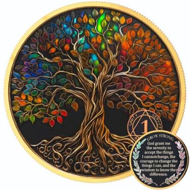 Imagem de TRSPCWR Conjunto de presente de moeda de sobriedade de 1 ano, medalhão de chip AA árvore da vida com cápsula de token, caixa de armazenamento e cartão, presentes de sobriedade para mês de aniversário