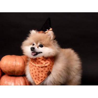 Imagem de Bandana para Pet - Pumpkins - BenDog, PP