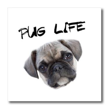 Imagem de Filhote de cachorro Pug fofo Rose Life 3D olhando para a câmera passar na transferência de calor, 15 x 15, branco