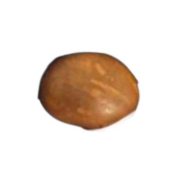 Imagem de Fava de Logum Edé  Equilíbrio  Harmonia  Proteção Espiritual - Estrela