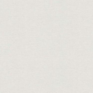 Imagem de Papel de Parede The Wall 2 Textura Cinza 306889