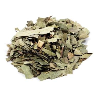 Imagem de Chá de Eucalipto Folhas - Eucalyptus citriodora 100g - LONDRIERVAS PRO