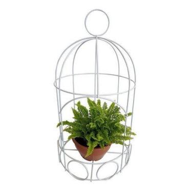 Imagem de Mini Samambaia Com Suporte Modelo Gaiola Planta Natural - Orquiflora