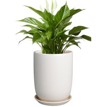Imagem de SUNPOTFOR Vaso de plantas de 20 cm - Vaso de cerâmica para plantas internas e externas, vaso grande com orifício de drenagem e pires, vaso de flores moderno, branco